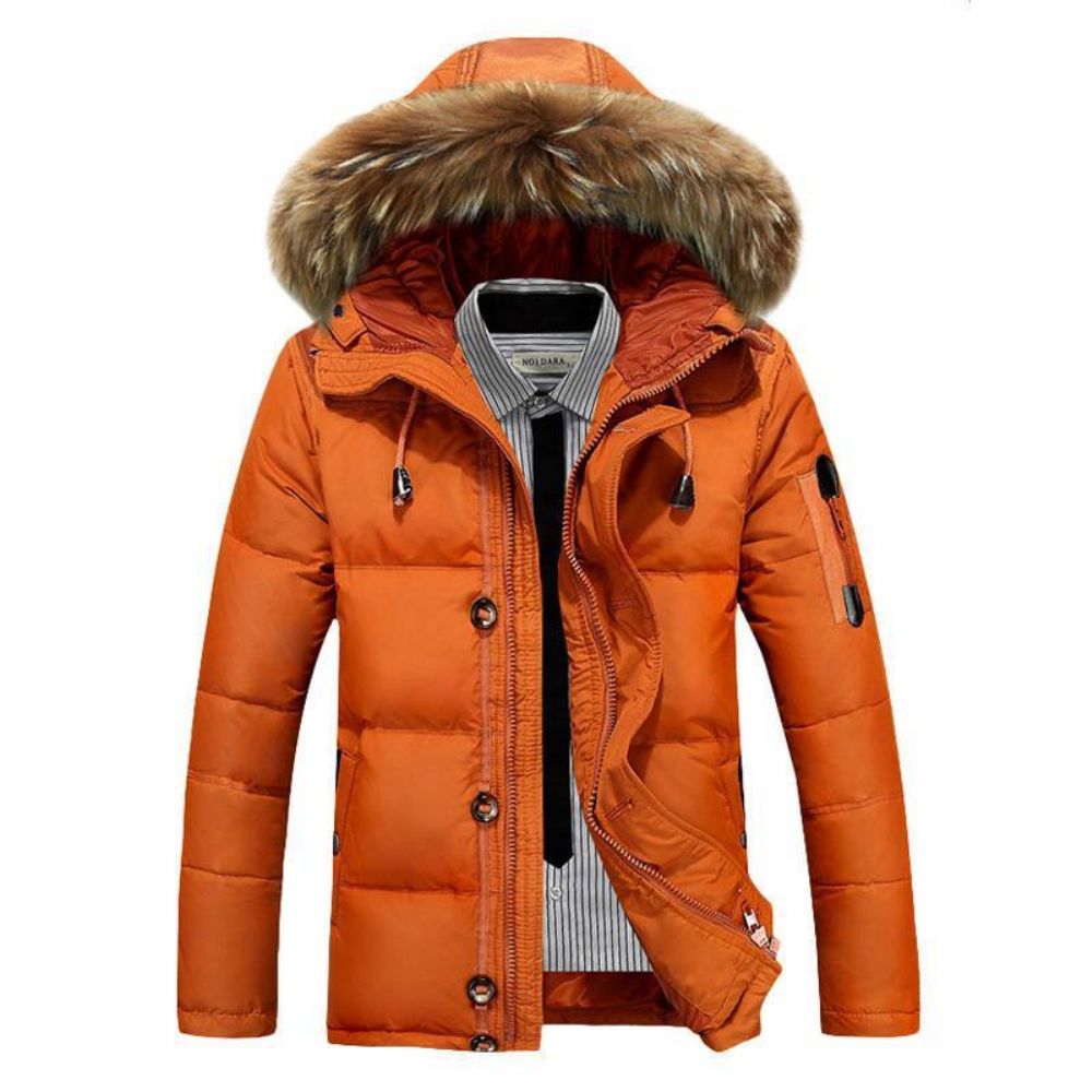 Heren Winter Dik Warm Donsjack Met Harige Capuchon Gewatteerde Parka