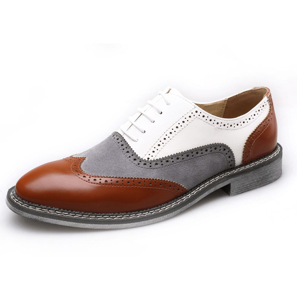 Heren Brogue Colorblock Oxfords Veterschoenen Zakelijke Casual Formele Schoenen