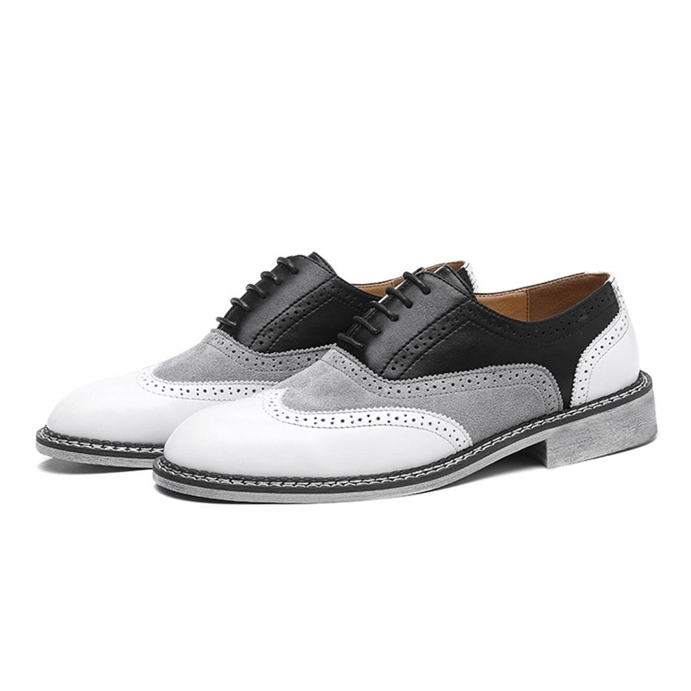 Heren Brogue Colorblock Oxfords Veterschoenen Zakelijke Casual Formele Schoenen