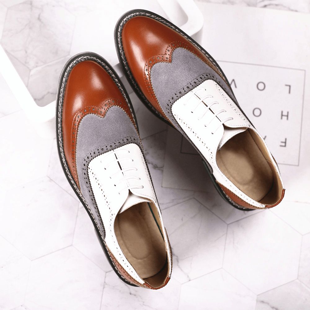 Heren Brogue Colorblock Oxfords Veterschoenen Zakelijke Casual Formele Schoenen