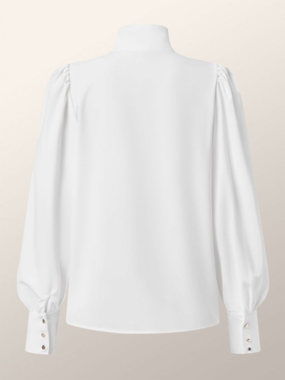 Herfst H-Lijn Lange Mouw Geen Elasticiteit Urban Daily Blouse