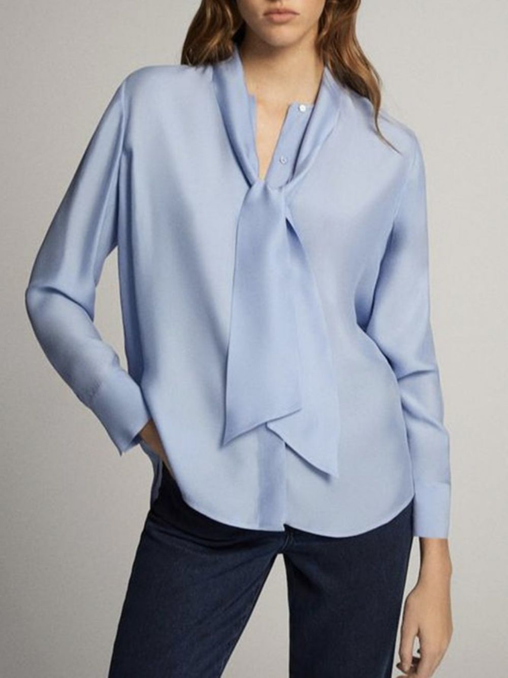 Losse Eenvoudige Blouse Met Lange Mouwen