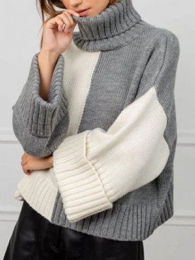 Daily Urban-Sweater Met Lange Mouwen Regular Fit Color Block